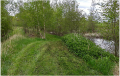 pond6.png