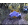 Landies On Exmoor Freestyle 