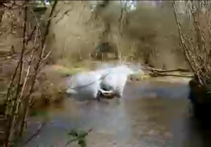 the big splash getting wet in Freestyle road buggy