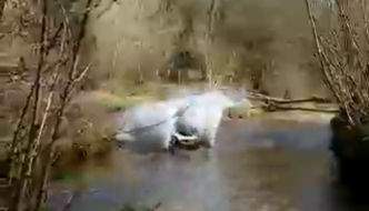 the big splash getting wet in Freestyle road buggy